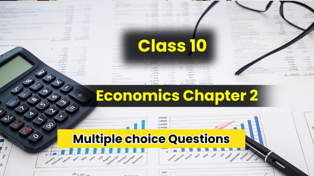 Class 10 Economics Chapter 2 Multiple choice Questions