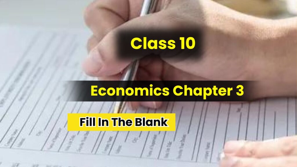 Class 10 Economics Chapter 3 Fill In The Blank