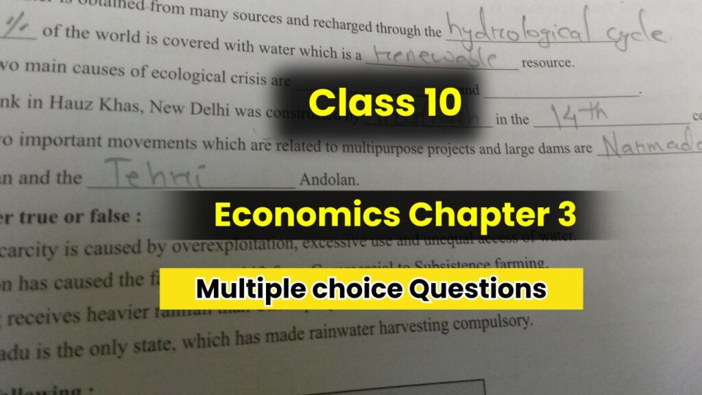 Class 10 Economics Chapter 3 Multiple choice Questions