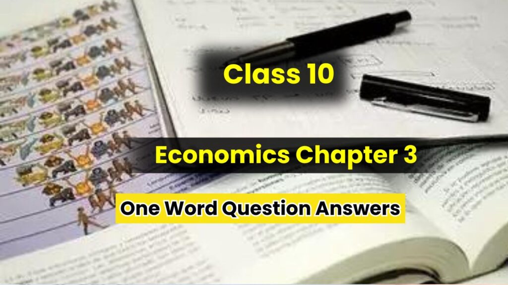 Class 10 Economics Chapter 3 One Word Question Answers