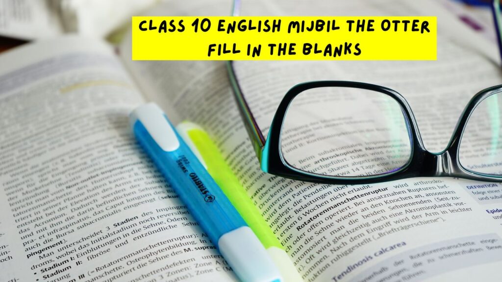 Class 10 English Mijbil The Otter Fill in the Blanks