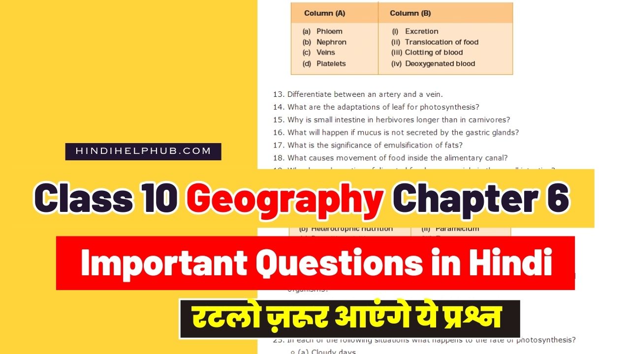 Class 10 Geography Chapter 6 Important Question in Hindi