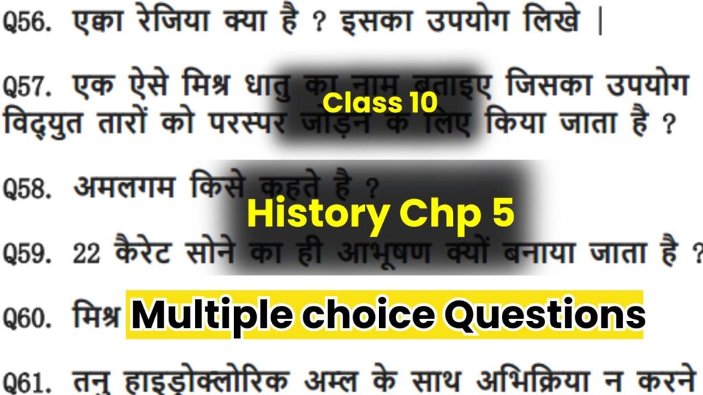 Class 10 History chapter 5 Multiple choice Questions