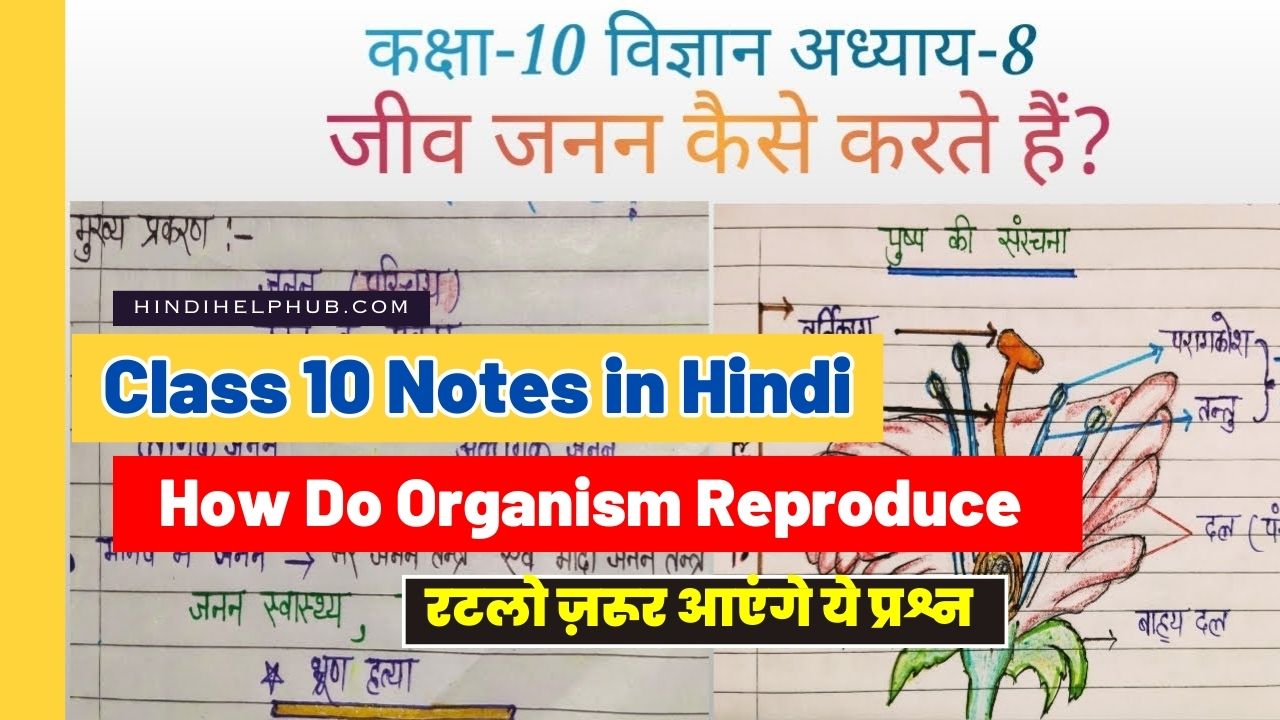 How Do Organism Reproduce Class 10 Notes in Hindi