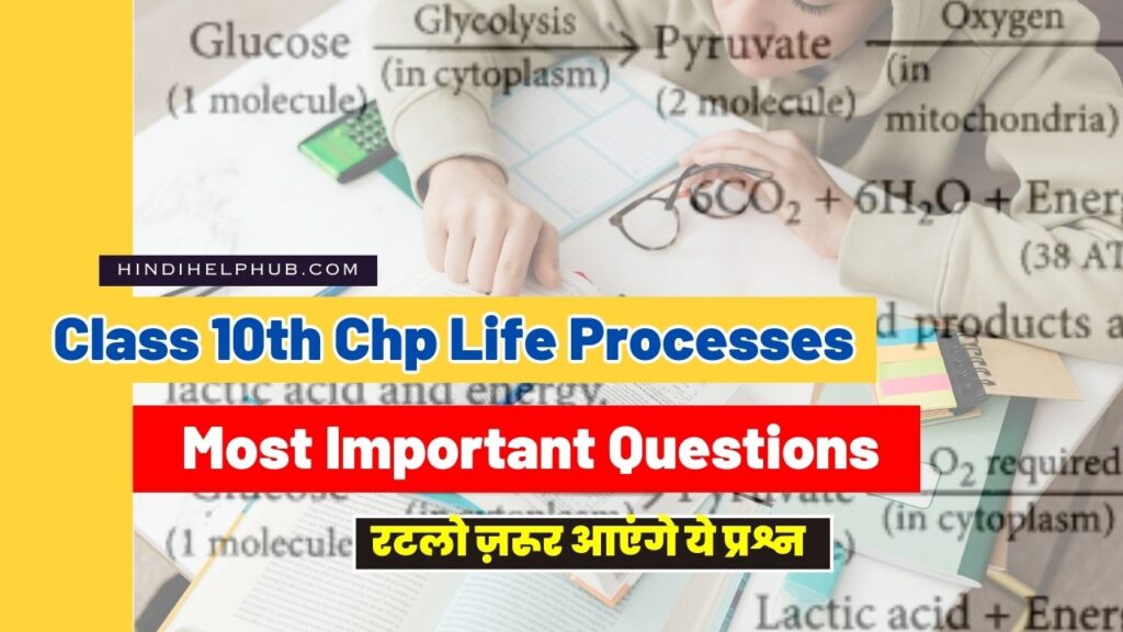 Life Processes Class 10 Important Questions