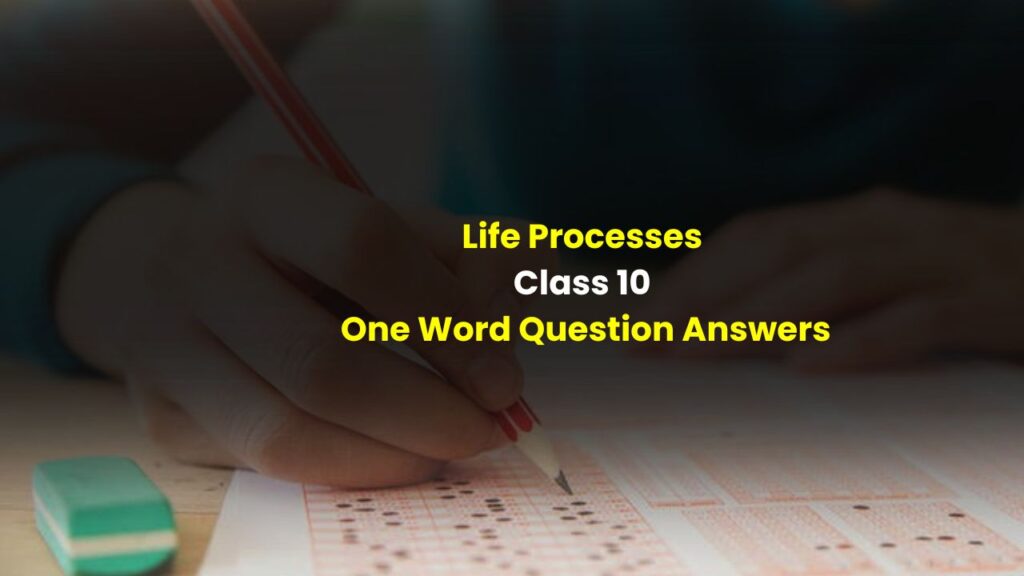 Life Processes Class 10 One Word Question Answers